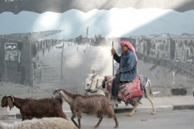 أمام مركز حنضلة في مخيم العزة - بيت جبيرين - 2009