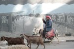 أمام مركز حنضلة في مخيم العزة - بيت جبيرين - 2009