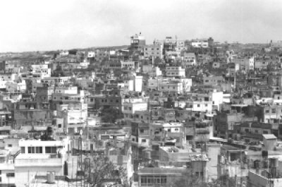 Palestinian Public Perceptions, Report VII (excerpts)