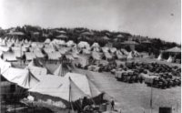 Towards International Protection for Palestinian Refugees