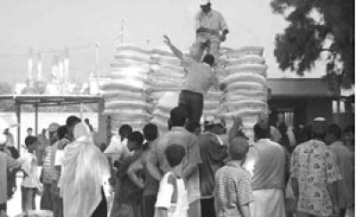 Living Conditions of Palestine Refugees to be Restored to International Standards