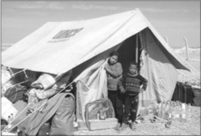 In Search of Protection: Palestinian Refugees Fleeing Iraq
