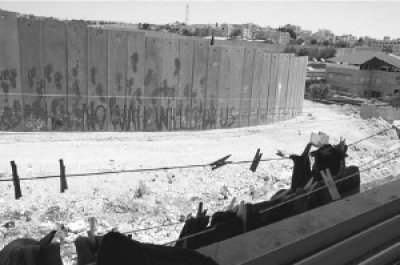 ‘Nothing New to Report’: The Registry of Damage Resulting from the Construction of the Wall