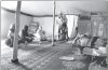 Oral History in the Palestinian and Sahrawi Contexts: A Comparative Approach[ 