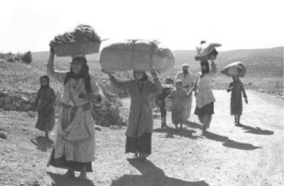 Refugees and the Arab Charter on Human Rights