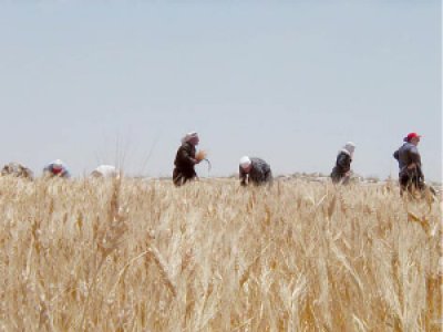 “A New Palestinian Political Season?”