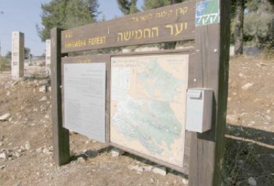 Israel’s Para-state Institutions Operating in the United States