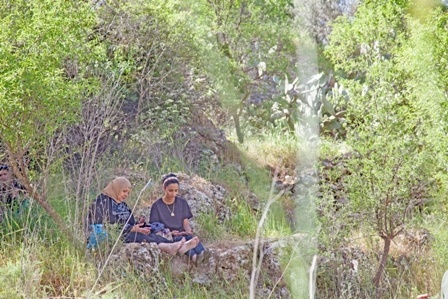 Two generations of Lifta’s refugees pray together during a visit to their lands on ‘Land Day’, 2013.